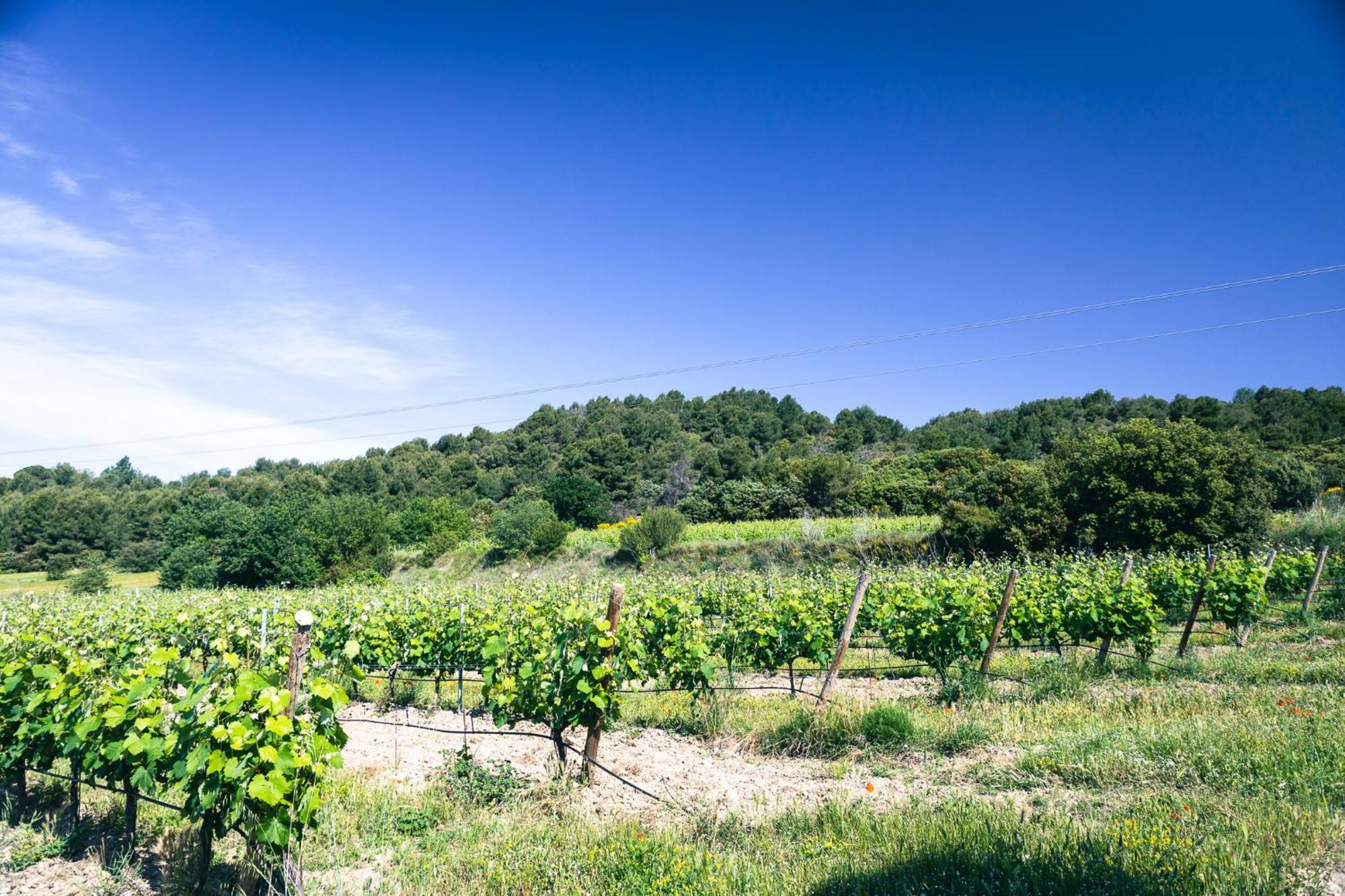 Апартаменти Domaine Des Peyre Robion en Luberon Екстер'єр фото