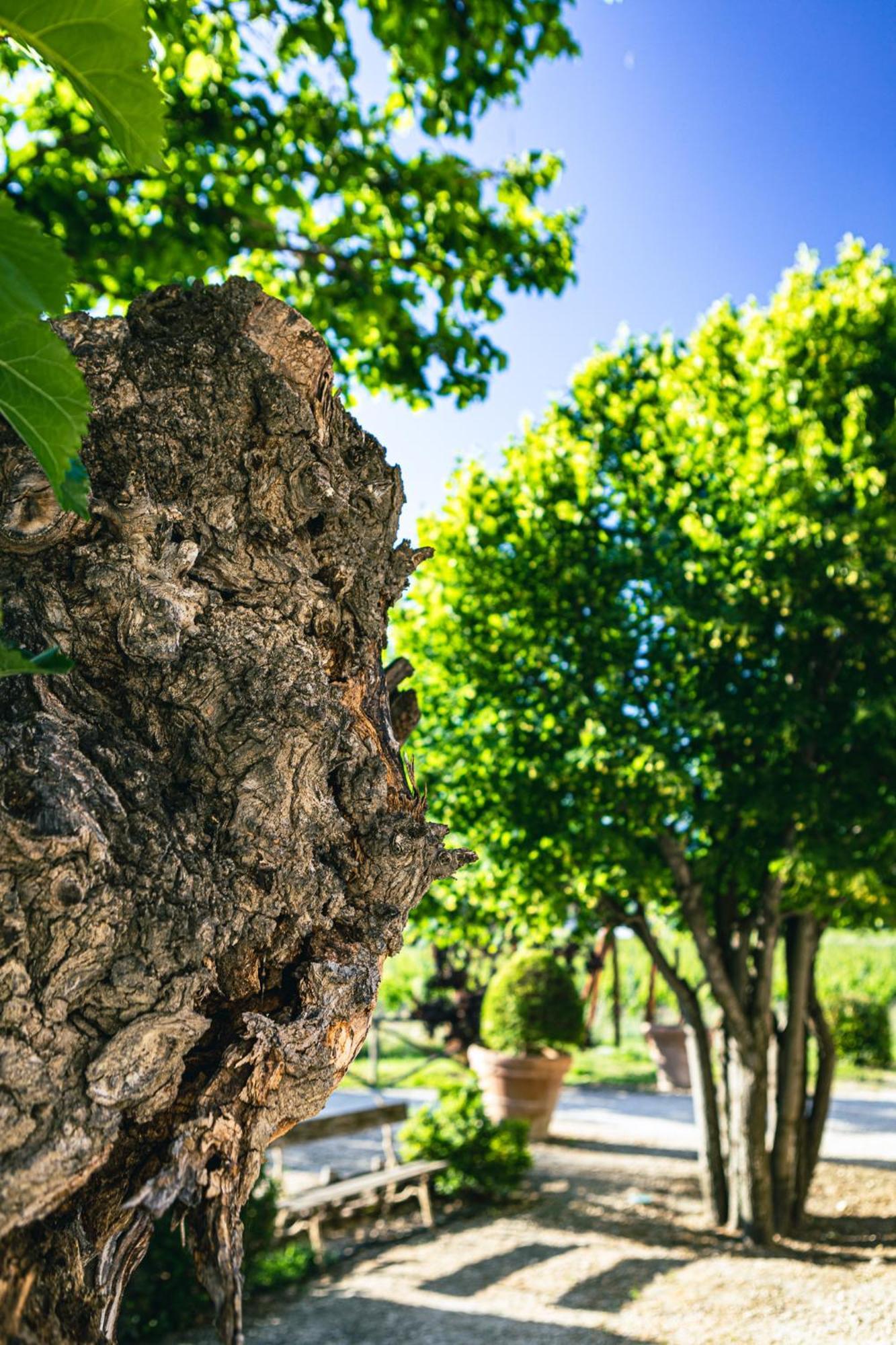 Апартаменти Domaine Des Peyre Robion en Luberon Екстер'єр фото
